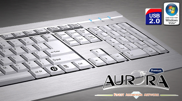ほぼ未使用 Enermax アルミヘアライン加工高級キーボード Aurora オーロラ KB002U USB パンタグラフ